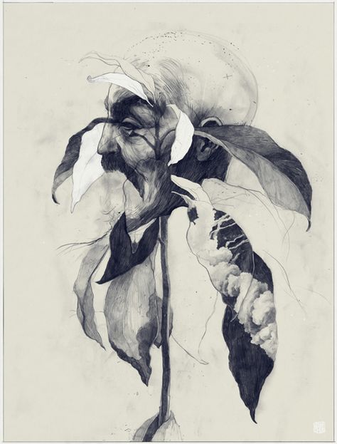 동화 삽화, Modern Drawing, Arte Inspo, A Level Art, Art And Illustration, Pencil Illustration, Illustration Artwork, Figure Drawing, A Flower