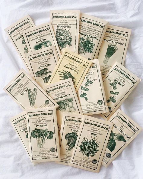 Seed Packaging Design, Asian Veggies, Asian Plants, Instagram Asian, Seed Packaging, Diy Garden Projects, Roof Deck, Seed Packets, Garden Bed