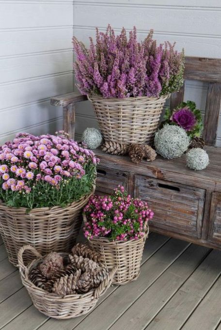 Potted Mums, Diy Container Gardening, Porch Landscaping, Cottage Market, Garden Containers, Creative Gardening, Small Space Gardening, Deck Garden, Cozy Living