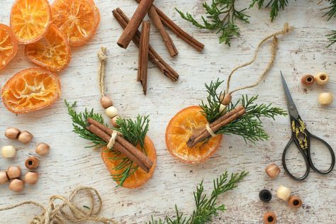 Dried Citrus Ornaments for Christmas Trees: Your DIY Guide Dried Citrus Ornaments Diy, Citrus Ornament Diy, Dehydrated Fruit Ornaments, Dried Orange Ornaments Tree Decorations, Dried Fruit Ornaments, Citrus Ornaments, Natural Christmas Ornaments, Wall Hanging Christmas Tree, Dried Citrus