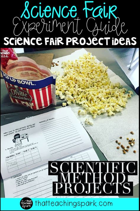 Science Fair Projects Made Simple | All About 3rd Grade Science Project 3rd Grade Ideas, Science Fair Projects For 1st Grade, Easy Science Fair Projects For 3rd Grade, Science Fair 2nd Grade Project Ideas, Scientific Method Projects, Scientific Method Science Fair Projects, Second Grade Science Fair Projects, 3rd Grade Science Projects Ideas, Simple Science Fair Projects