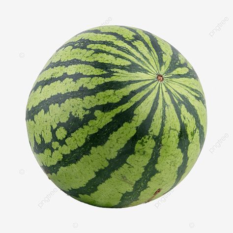 Fruit Png, Fruit Watermelon, Watermelon Designs, Map Pictures, Fresh Watermelon, Watermelon Fruit, Green Fruit, Organic Pattern, Still Life Drawing