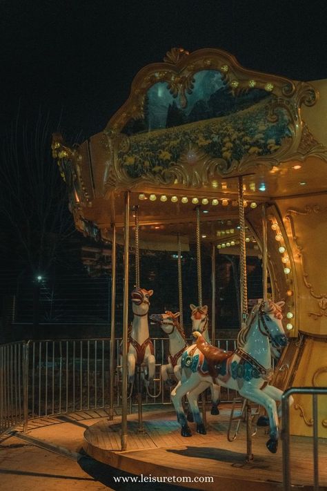 Nighttime Photography, Amusement Park Rides, Park Photography, Carousel Horses, Vintage Horse, Horse Designs, Amusement Park, Night Photography, Night Time