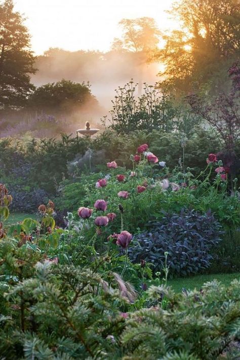 Funny Vine, Garden Area, Garden Types, Have Inspiration, The Secret Garden, Romantic Garden, Flowers Wallpaper, Kew Gardens, Gorgeous Gardens