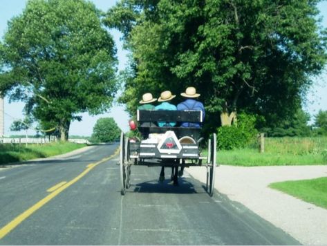 10 Things About Indiana You Can Trust Will Always Be The Same Amish Traditions, Rumspringa, Amish Pennsylvania, Bird In Hand, Pennsylvania Dutch Country, Amish Farm, Lancaster County Pennsylvania, Pennsylvania Travel, Lancaster County Pa