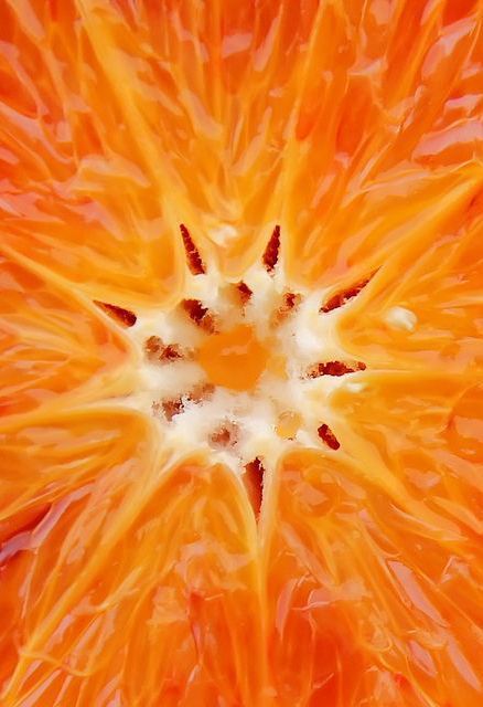 Fruit Table Wedding, Orange Moodboard, Straight Photography, Fruit Table, Foto Macro, Wedding Orange, Orange Tone, Fruit Photography, God Mat