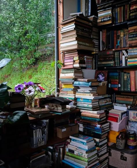 Messy Library, Green Academia, Dusty Attic, Country Girl Life, Bookstore Cafe, Book Bucket, Library Aesthetic, Dream Library, Corner Decor