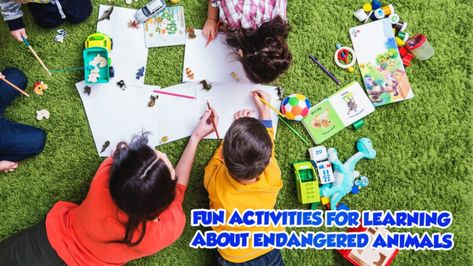 Fun Activities to Help Kids Learn About Endangered Animals - Yowie World Social Development Activities, Summer Holiday Activities, Animal Activities For Kids, High School Kids, Holiday Program, Stem Learning, Development Activities, Educational Games For Kids, Animal Activities