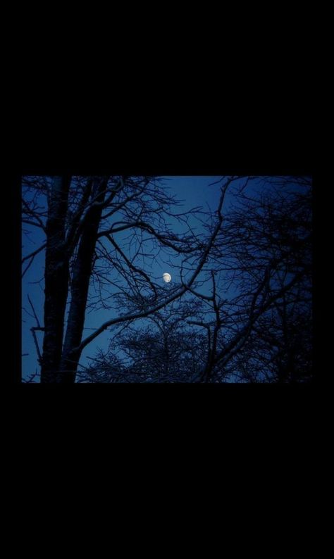 Pfp Instagram Highlights, Dark Forest Aesthetic, Cool Illusions, رعب نفسي, Night Scenery, Moon Photography, Aesthetic Photography Nature, Nature Aesthetic, Sky Aesthetic