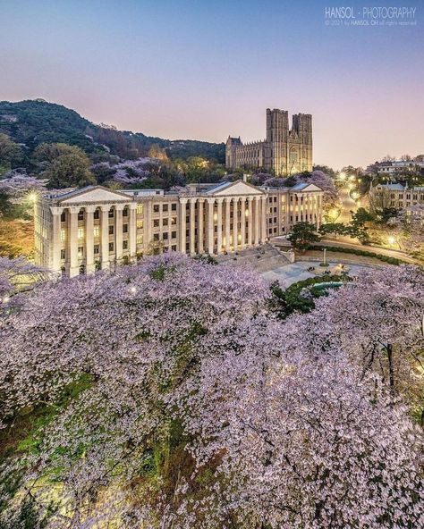 Korean Boarding School, Korean University Aesthetic, Korea University Aesthetic, Kyung Hee University, Kyunghee University, Korean University, South Korea Landscape, Korea Landscape, Boarding School Aesthetic