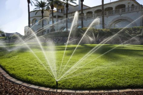 Water Sprinkler System, Lawn Sprinkler System, Paver Designs, Garden Sprinklers, Water Efficiency, Sprinklers, Sprinkler System, Back Gardens, Garden Irrigation