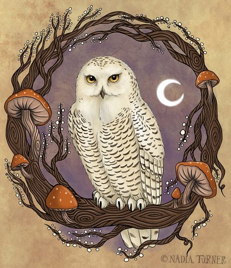 Galaxia Wallpaper, Nadia Turner, Witches Familiar, Owl Artwork, Spirit Animal Art, Owl Illustration, Owls Drawing, Animal Illustrations, Witch Art