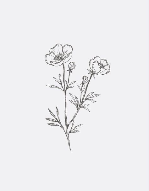 Buttercup Flower Tattoo, Buttercup Drawing, Buttercup Tattoo, Gooseberry Moon, Tattoo Black And White, Line Art Flowers, Buttercup Flower, Moon Vector, Black And White Flower