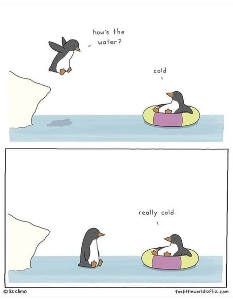 Liz Climo Comics, Liz Climo, Talking Animals, Cute Jokes, Science Jokes, It's Funny, Memes Humor, Animal Jokes, Cute Comics