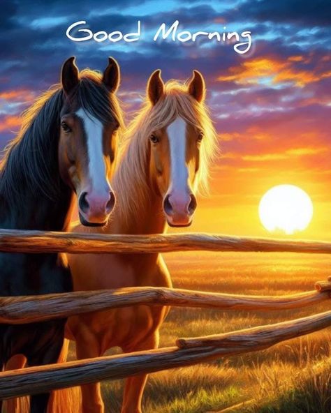 Horse Good Morning, Good Morning Horses, Funny Good Morning Wishes, Cute Good Morning Pictures, Morning Peace, Cute Good Morning Gif, Funny Good Morning Messages, Country Photos, Funny Good Morning Images