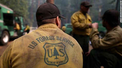 Firefighter Quotes, Us Forest Service, Yosemite California, Wildland Fire, Forest Ranger, Female Firefighter, Wildland Firefighter, Volunteer Gifts, Smokey The Bears