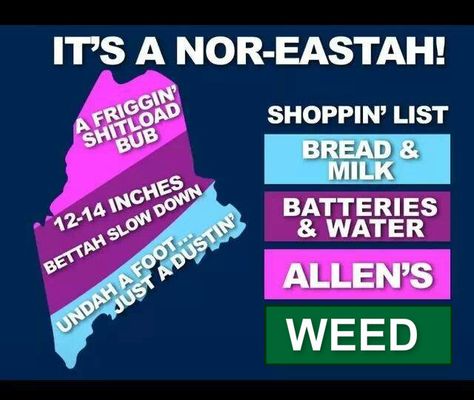 Moving To Maine, Free Seeds, Maine Living, All Things New, Bucket Lists, Inside Jokes, Travel Bucket, Travel Bucket List, Slow Down