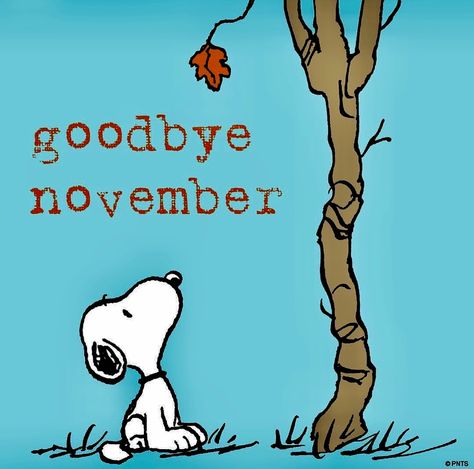 30.11.2017 Bye November, Goodbye November, Peanut Pictures, Snoopy Comics, Snoopy Funny, Hello November, Peanuts Cartoon, Hello December, Snoopy Quotes