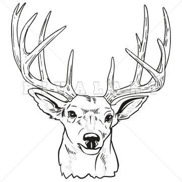 Deer Outline, Hunting Clipart, Buck Antlers, Wood Burning Patterns Stencil, Deer Artwork, Deer Poster, Deer Drawing, String Art Patterns, Linocut Art