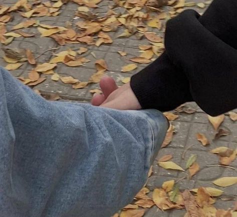 Leaves On The Ground, You Are My Moon, Mia 3, We Fall In Love, Autumn Aesthetic, On The Ground, Hopeless Romantic, Falling Down, Infj