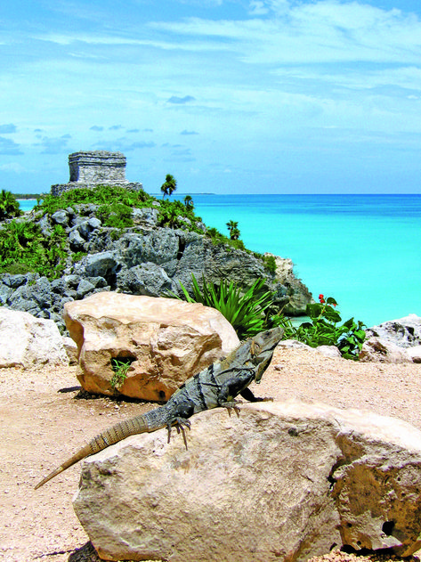 Friend posing in front of the Mayan Ruins by the beach in Tulum. Best program ever! #LiveItToBelieveIt #VisitMexico #Tulum #Maya #mexico Travel Tulum, Rivera Maya Mexico, Mexico Pictures, Tulum Ruins, Costa Maya, Tulum Beach, Visit Mexico, Mayan Ruins, Mexico Vacation