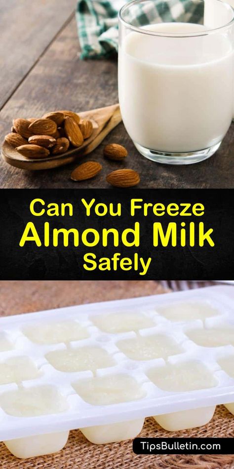 Freeze Milk, Almond Milk Brands, Freezing Food Guide, Almond Milk Creamer, Freeze Food, Orange Smoothie Recipes, Smoothie Recipes With Yogurt, Make Almond Milk, Almond Milk Recipes