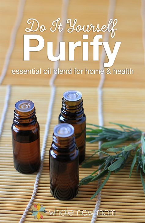 This DIY Purify Blend is great for cleaning the air from toxins, odors, and more – plus it's great for treating wounds too! It really worked on off-gassing issues we had at our home – no more stink! Save money by making this homemade purification EO blend. Purification Oil, Purification Essential Oil, Essential Oil Blends Recipes, Oil Diffuser Blends, Essential Oil Bottles, Diy Essential Oils, Essential Oil Blend, Oil Uses, Fractionated Coconut Oil