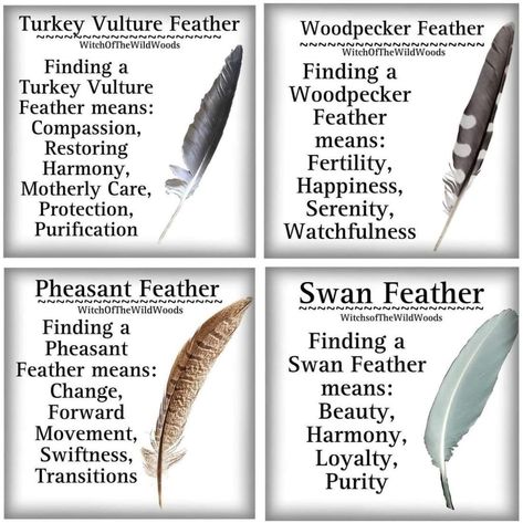 Feather Color Meaning, Feather Identification, Feather Magic, Finding Feathers, Energy Circles, Feather Meaning, Pencil Drawings For Beginners, Animal Spirit Guides, Witch Spirituality