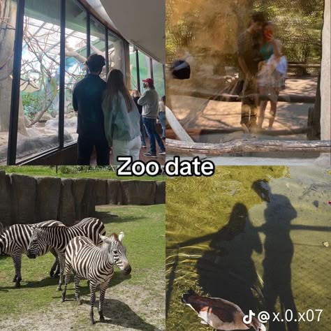 Zoo Date Couple, Different Date Ideas, Adventurous Date Ideas, Fun Dates Aesthetic, Double Dates Ideas, Dream Date Ideas, Trunk Date, Perfect Date Ideas Romantic, Double Date Ideas For Teens