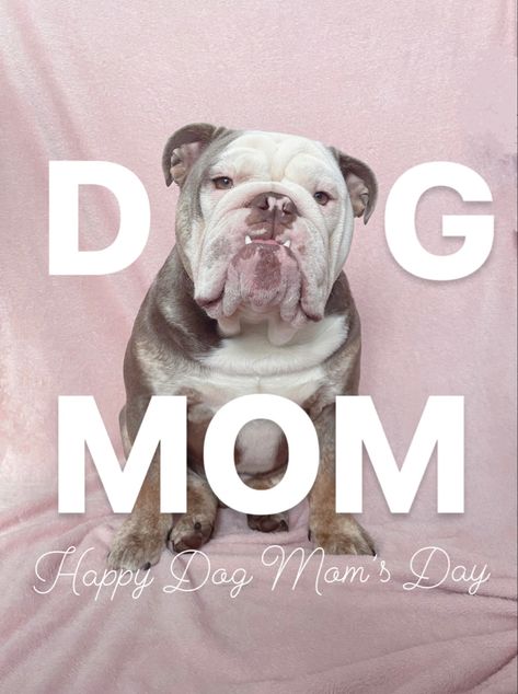 Happy Dog Mom’s Day #dogmom #mothersday Happy Things, Happy Mother, Mom Day, Happy Dogs, Happy Mothers, Dog Mom, Mother’s Day, Cute Dogs, Bulldog