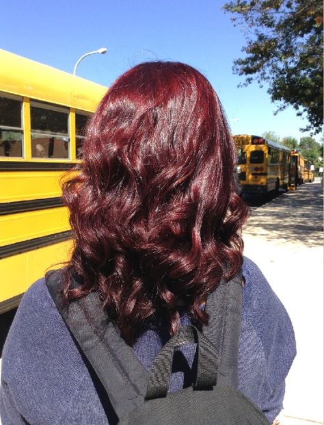 Cherry Red Hair Curly Short, Red Hair Wavy, Black Cherry Hair, Light Red Hair, Cherry Hair Colors, Wine Hair, Red Hair Inspo, Cherry Hair, Hair Color Auburn