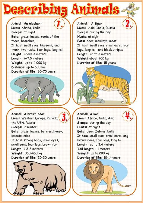 Describing animals 1 - English ESL Worksheets for distance learning and physical classrooms Describing Animals Worksheets, Animal Fact File, Ingles Kids, Different Animals, Animal Worksheets, English Exercises, English Games, English Activities, English Reading