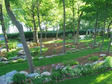 planting on big slope - Yahoo Search Results Image Search Results River Birch Landscaping, Wooded Backyard Ideas, Sloping Backyard, Ideas Around Trees, Wooded Backyard, Slope Landscape, Backyard Decorations, Landscaping A Slope, Affordable Backyard Ideas