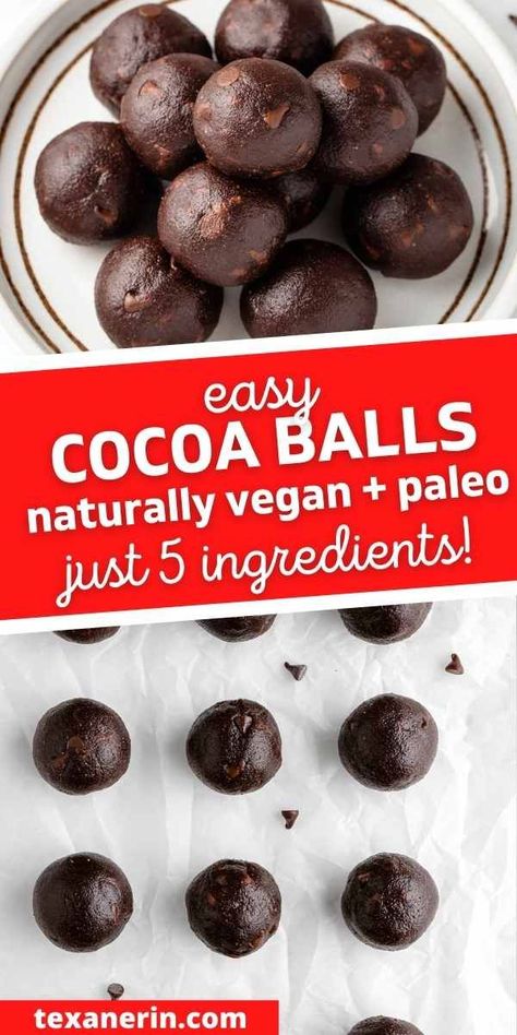 Vegan Cocoa Powder Recipes, Healthy Chocolate Balls, Cocoa Balls Recipes, Gf Bars, Gfdf Recipes, Cocoa Balls, Healthy Cocoa, Energy Bite, Optavia Meals