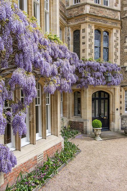 Jesus College, Cambridge | Flickr - Photo Sharing! Bridgerton Birthday Party, Cambridge England, Chateau France, Regency Era, Light Academia, England Uk, Beautiful Buildings, Pretty Places, Wisteria