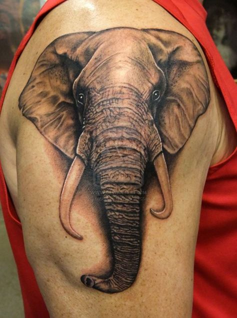 Cute Little Elephant Tattoos Arm Elephant Tattoo, Realistic Elephant Tattoo, Elephant Head Tattoo, Elephant Tattoo Meaning, Tato Tradisional, Tier Tattoo, Elephant Tattoo Design, Elephant Face, Elephant Tattoo