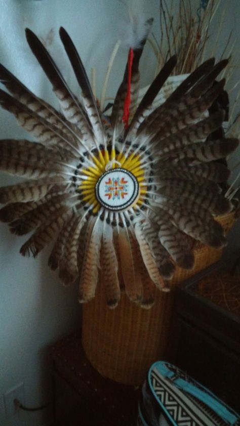 Boys Bustle with hawk feathers Hawk Feathers, Headdress, Feathers, Native American, Nativity