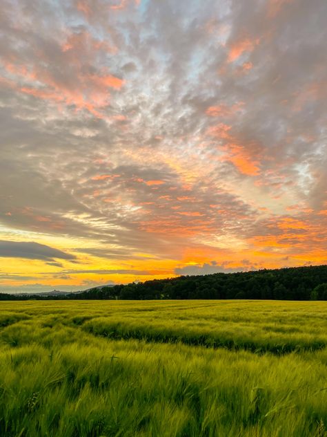 Cloudy Sunset Sky, Farm Fields Landscapes, Grassy Field Aesthetic, Field With Sunset, Sunrise Field, Sunset Countryside, Sunset Ideas, Corn Drawing, Sunset Meadow