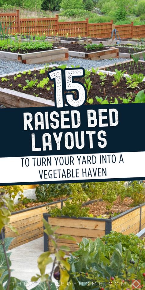 15 pretty raised garden bed ideas to make your yard stunning. These designs combine beauty and functionality, perfect for a thriving vegetable garden. Save this pin for later and click to explore these gorgeous garden bed ideas! Elevated Garden Beds Layout, Raised Bed Garden Design Layout, 4x8 Garden Bed Layout, Small Raised Garden Beds Layout, Suburban Vegetable Garden, Enclosed Raised Garden Beds, Pretty Vegetable Garden Ideas, Raised Bed Layout, Raised Bed Garden Layout