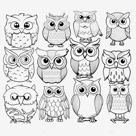 coloring pages set with cute owls doodle birds for coloring book owl cartoon owl cartoon line png Owl Doodle Easy, Animal Doodle Art, Bird Doodle Art, Owl Doodles, Cartoon Owl Drawing, Doodle Birds, Owl Doodle, Book Owl, Cartoon Owls