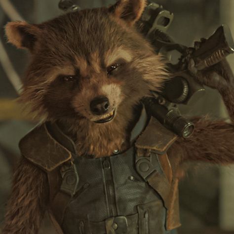 Estp Personality, Racoon Tattoo, Male Cartoon Characters, Marvel And Dc Characters, Rocket Raccoon, Anatomy Poses, Trash Panda, Cute Animals Images, Mbti Personality