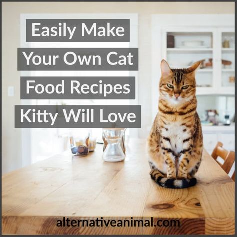 Easily Make Your Own Cat Food Recipes Kitty Will Love 2 Make Your Own Cat Food, Animal Diet, Kitty Recipes, Homemade Cat Treats Recipes, Cat Food Recipes, Diy Cat Food, Senior Cat Food, Healthy Cat Food, Raw Cat Food Recipes