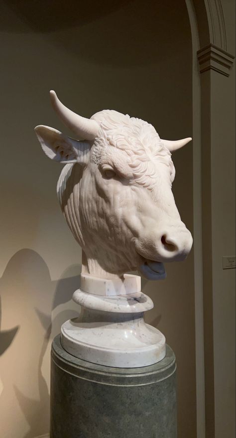 photo: @kjhixe | #statue #art #artmuseum #cow #cowhead #marble #details Burger Shop Interior, Maya Animation, Cow Sculpture, Bull Sculpture, Burger Shop, Classical Sculpture, Bull Art, Statue Art, Cow Head