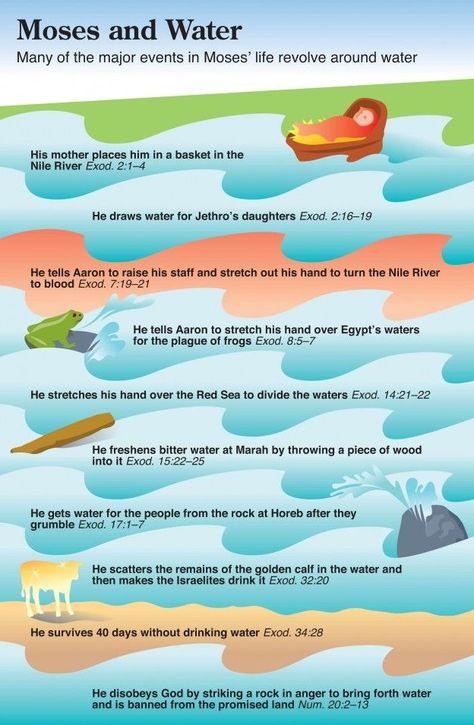 Moses and Water Moses Bible Study, Moses Timeline, Quick View Bible, Biblical Teaching, Bible Study Guide, Bible Study Help, Bible Characters, Bible History, Bible Study Notebook