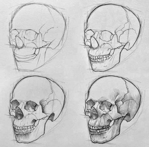 Realistic Face Drawing, Face Step By Step, Artist Hue, Beginner Drawing Lessons, Draw A Face, Pencil Drawings For Beginners, Skeleton Drawings, Drawing Ideas List, Drawing Tutorial Face