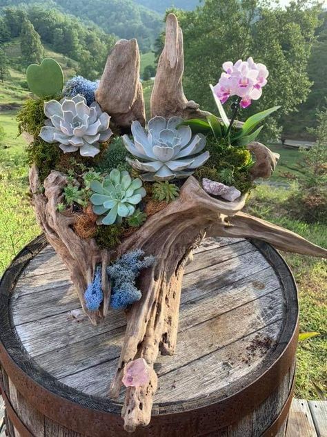 Succulent Wedding Centerpieces, Driftwood Planters, Succulent Gardens, Succulent Centerpieces, Succulent Gardening, Succulent Wedding, Succulents In Containers, Succulent Terrarium, Cactus Y Suculentas