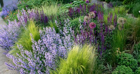 The New Perennial Movement: Exhausted or Just Getting Good? by Thomas Rainer, very thoughtful. Thomas Rainer, Meadow Sage, Mexican Feather Grass, Piet Oudolf, Sustainable Landscaping, Meadow Garden, Eco Friendly Garden, Garden Posts, Grasses Garden