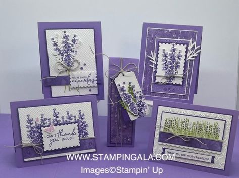 Lavender Bundle, Lavender Stamp, Painted Lavender, Cardmaking Tutorials, Color Tutorial, Sending Mail, Winter Retreat, Purple Cards, Constant Contact