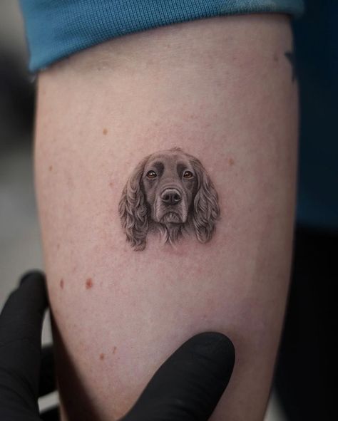 3d Dog Tattoos, Sprocker Spaniel Tattoo, Mini Dog Portrait Tattoo, Pet Portrait Tattoo Ideas, Spaniel Tattoo Cocker, Microrealism Dog Tattoo, Micro Pet Portrait Tattoos, Dog Tattoo Cocker Spaniel, Tattoo Dog Portrait