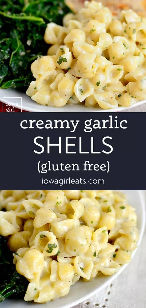 Mini Shell Pasta Recipes, Healthy Pasta Sides, Seashell Pasta Recipes, Italian Side Dishes Easy, Noodle Side Dishes, Kids Pasta Recipes, Creamy Garlic Shells, Side Dishes For Kids, Pasta Sides Recipes